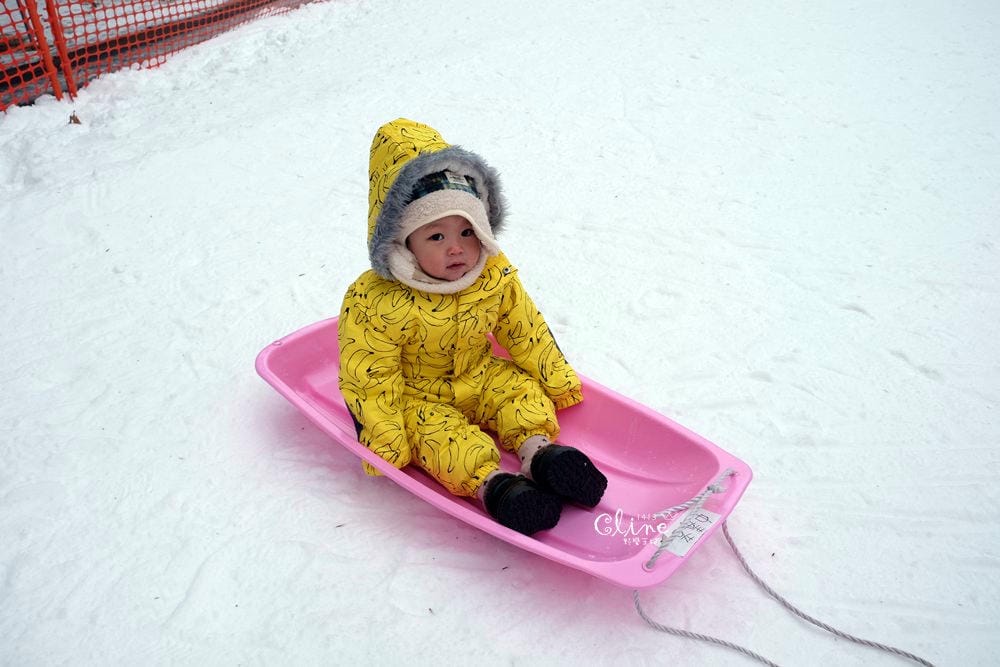 ▌日本滑雪  ▌輕井澤王子官方 中文王子滑雪學校，專業中文教練指導  ​ 安全快速的輕鬆上手。