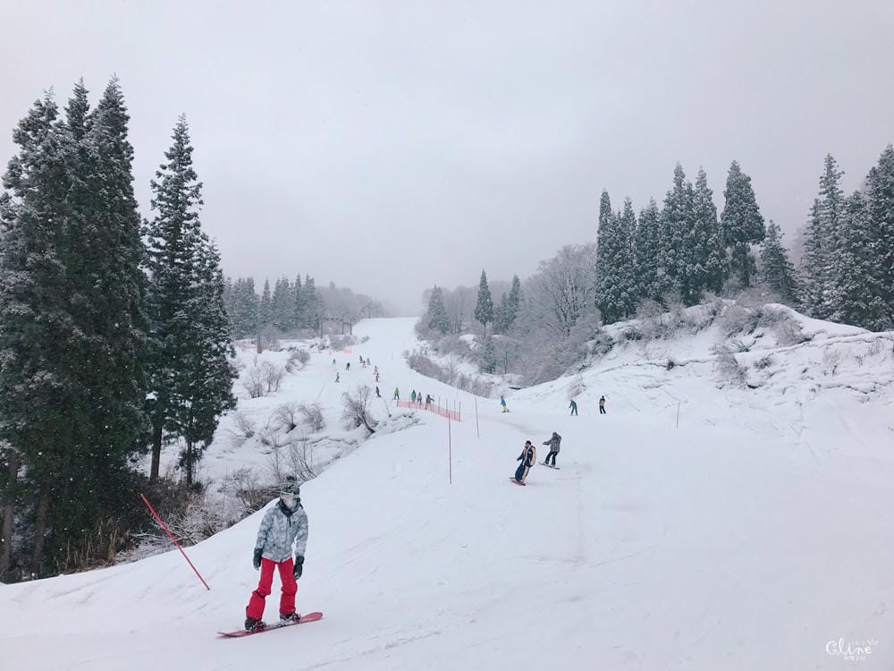 ▌日本滑雪  ▌陽光男孩上越國際滑雪場，滑雪中毒心得