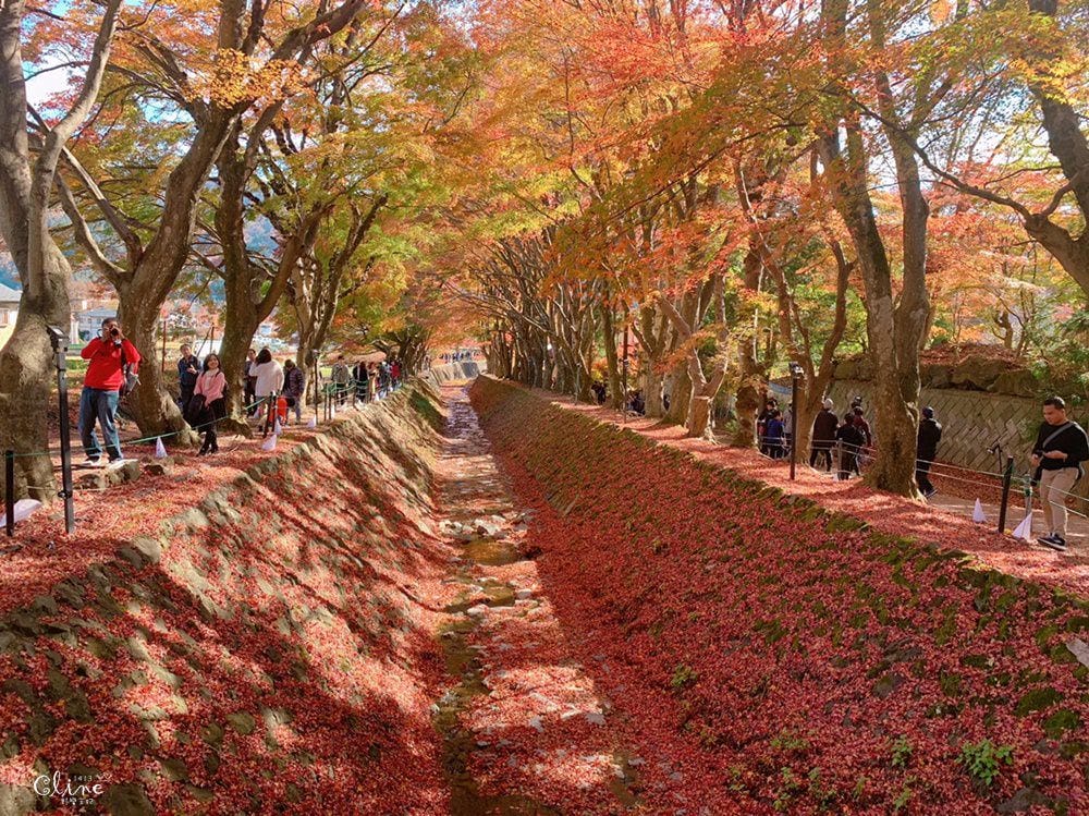 ▎河口湖住宿▎河口湖秀峰閣湖月。房間內就可欣賞到完整富士山美景