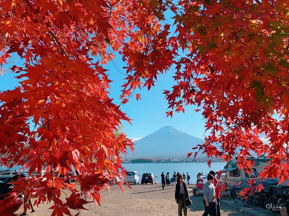 ▎河口湖住宿▎河口湖秀峰閣湖月。房間內就可欣賞到完整富士山美景