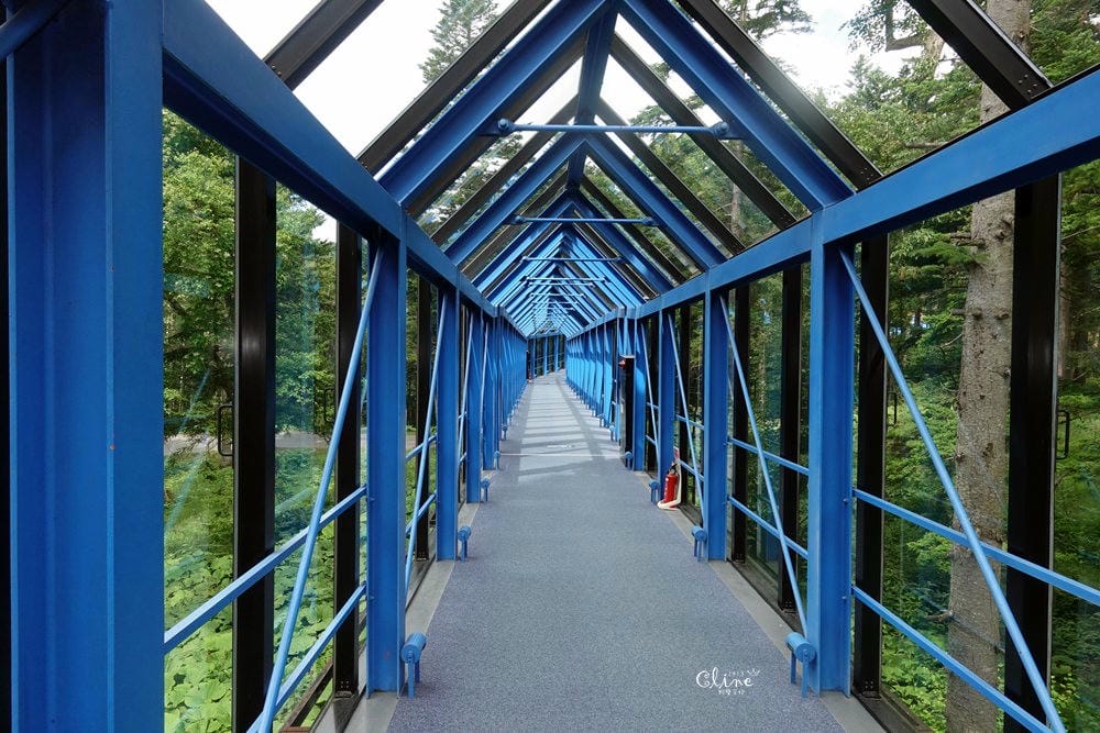 ▌北海道住宿推薦▌北海道星野TOMAMU渡假村，夏季擁抱大自然 ❤環境、設施介紹