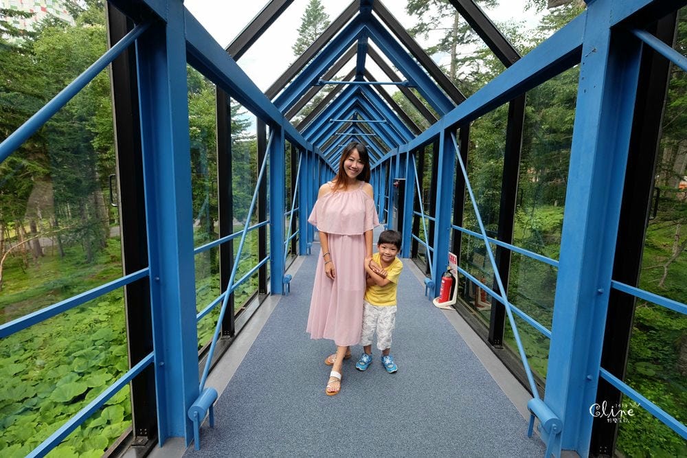 ▌北海道住宿推薦▌北海道星野TOMAMU渡假村，夏季擁抱大自然 ❤環境、設施介紹