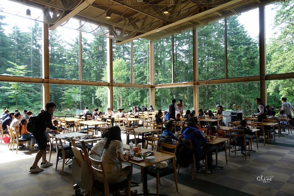 ▌北海道住宿推薦▌北海道星野TOMAMU渡假村，夏季擁抱大自然 ❤環境、設施介紹