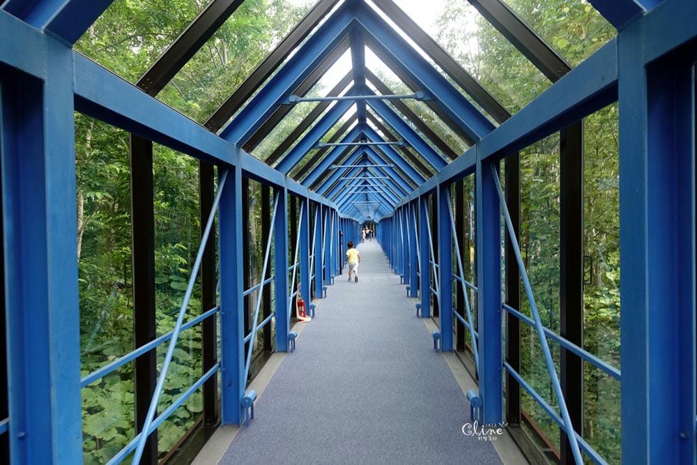 ▌北海道住宿推薦▌北海道星野TOMAMU渡假村，夏季擁抱大自然 ❤環境、設施介紹