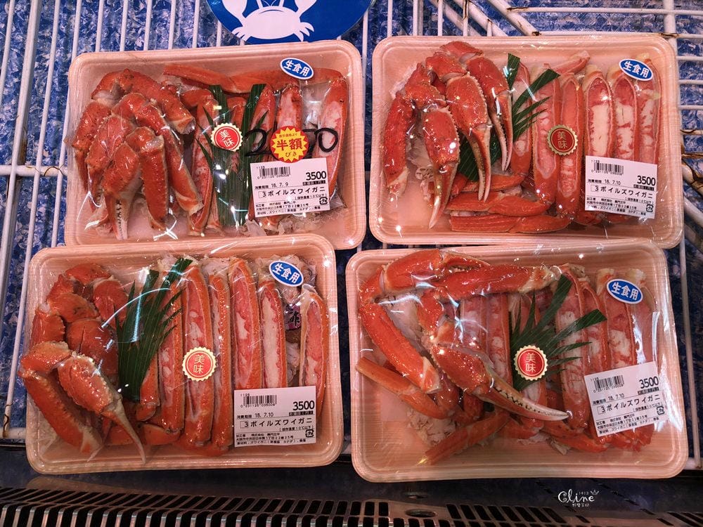 ▌大阪景點▌大阪兒童育樂廣場.關西親子自由行DAY９(扇町公園篇)