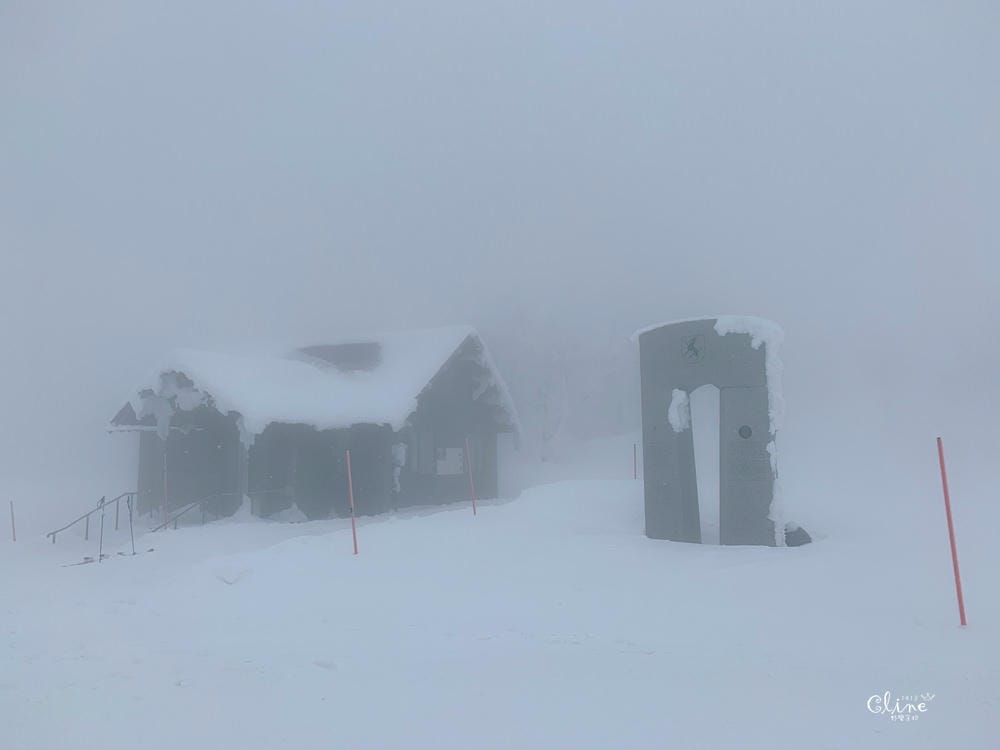 ▌藏王滑雪攻略▌快速地利用滑雪到達山頂。及雪道介紹、雪具租借、隱身在夢幻雪境的三五郎小屋
