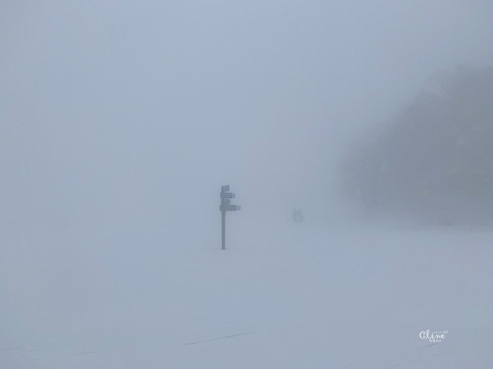 ▌藏王滑雪攻略▌快速地利用滑雪到達山頂。及雪道介紹、雪具租借、隱身在夢幻雪境的三五郎小屋