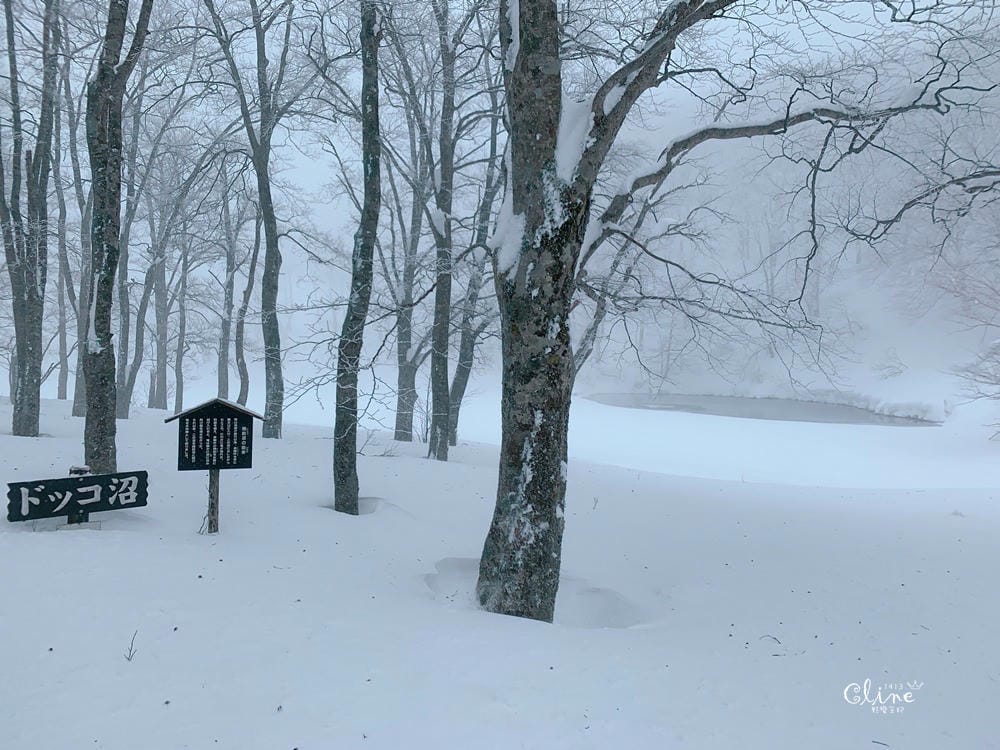 ▌藏王滑雪攻略▌快速地利用滑雪到達山頂。及雪道介紹、雪具租借、隱身在夢幻雪境的三五郎小屋