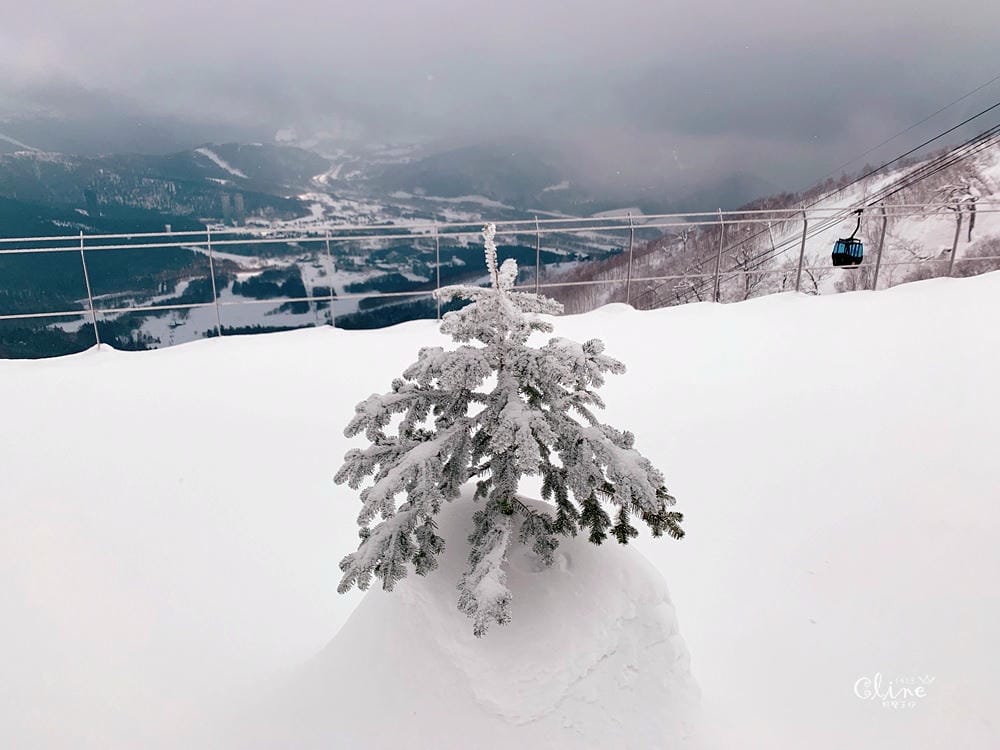 ▌星野度假村▌星野雪道介紹、雪具租借、雪票購買。陽光男孩滑雪心得