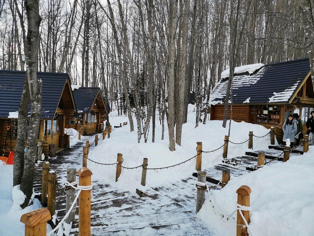 ▌2019北海道滑雪自由行  ▌2019北海道雪地自駕心得分享及行程分享