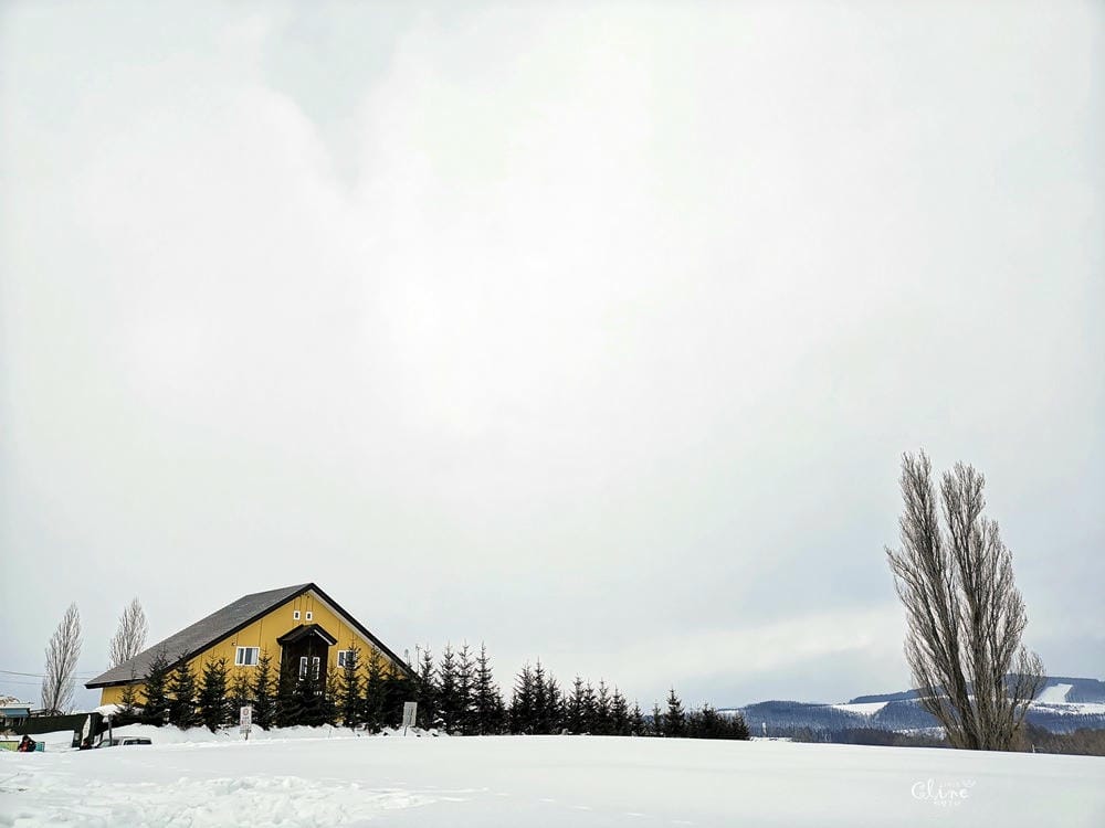 ▌2019北海道滑雪自由行  ▌2019北海道雪地自駕心得分享及行程分享