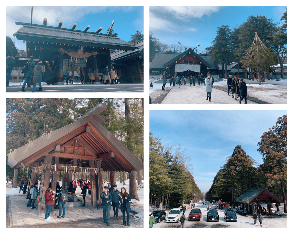 ▌2019北海道滑雪自由行  ▌2019北海道雪地自駕心得分享及行程分享