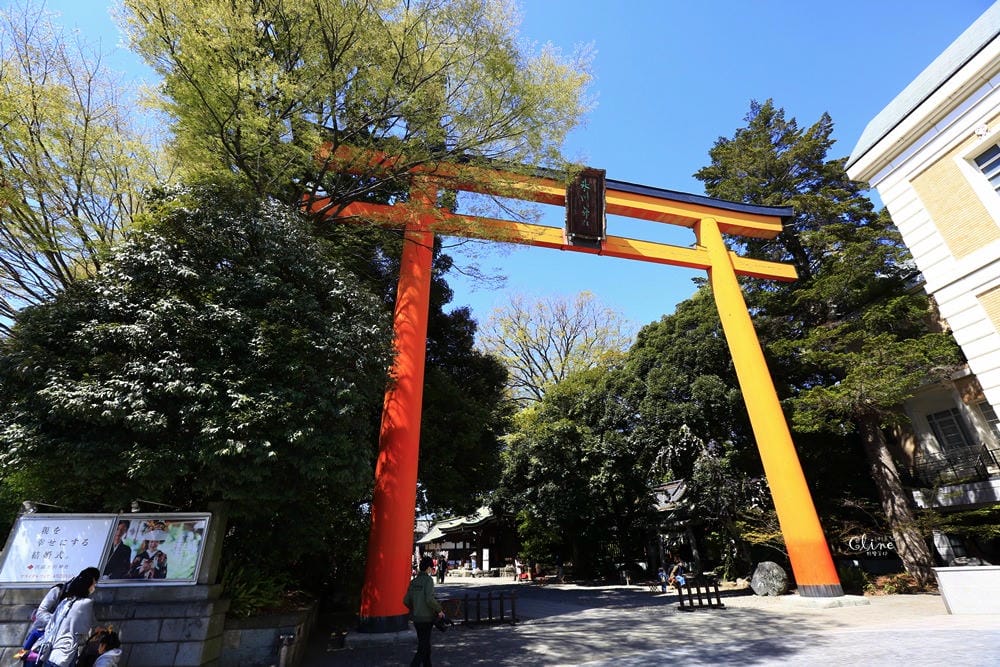 ▌東京近郊賞櫻▌川越【冰川神社。絕美花筏】夢幻賞櫻景點