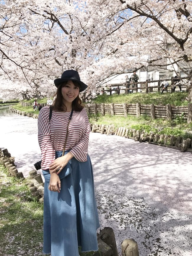 ▌東京近郊賞櫻▌川越【冰川神社。絕美花筏】夢幻賞櫻景點