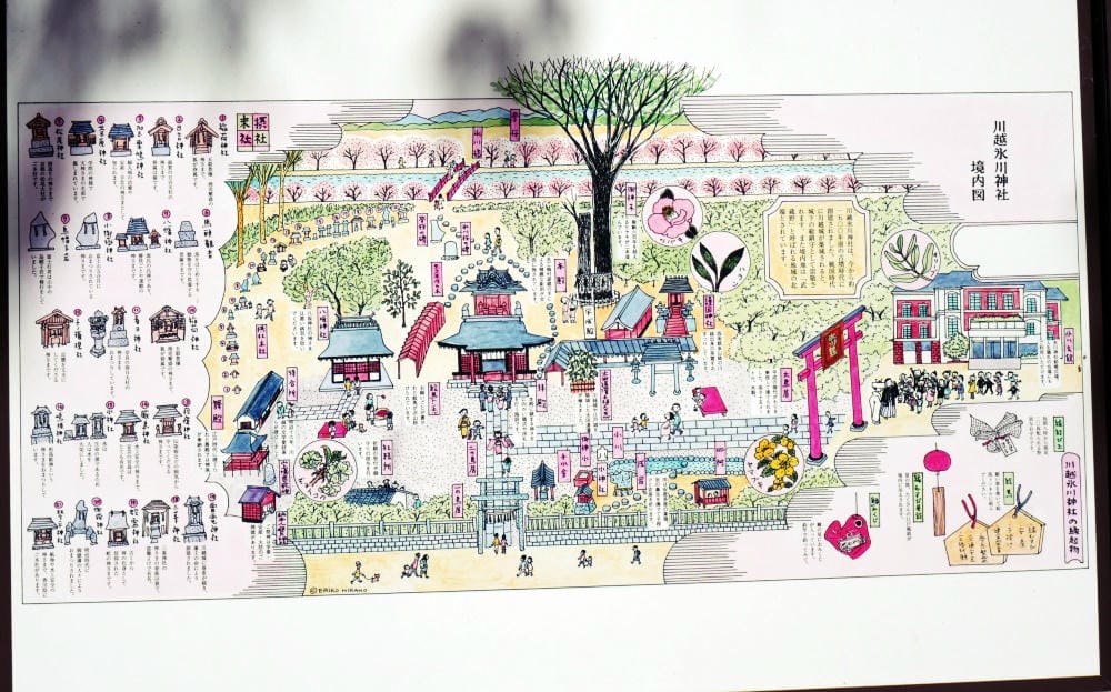 ▌東京近郊賞櫻▌川越【冰川神社。絕美花筏】夢幻賞櫻景點