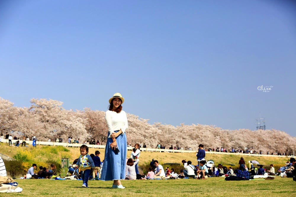 ▌東京近郊賞櫻▌驚為天人的花見【熊谷櫻堤】。櫻花與油菜花美到爆炸啊～