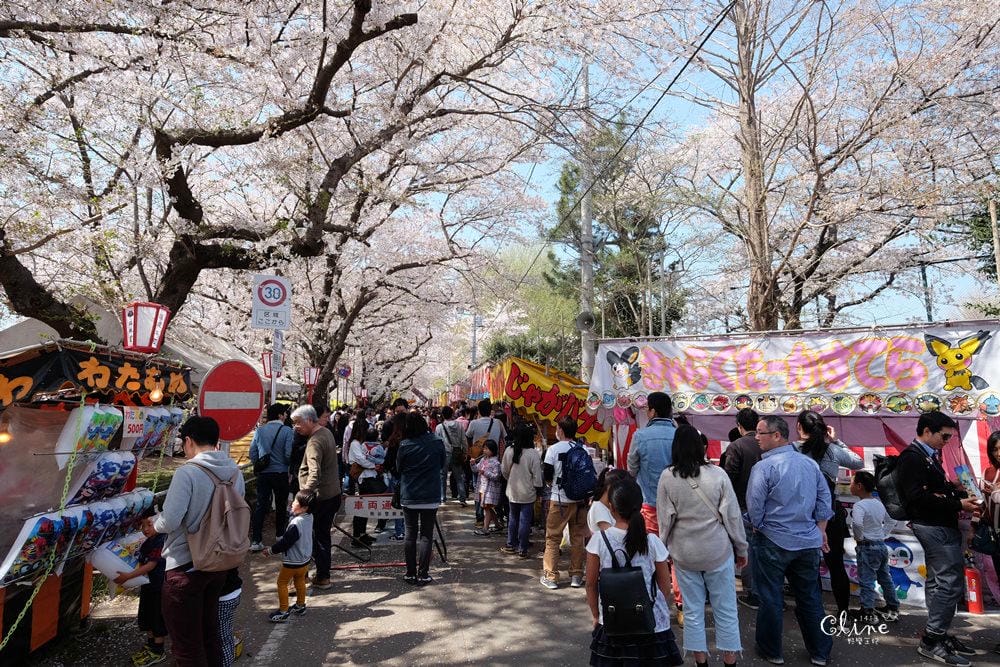 ▌東京近郊賞櫻▌驚為天人的花見【熊谷櫻堤】。櫻花與油菜花美到爆炸啊～