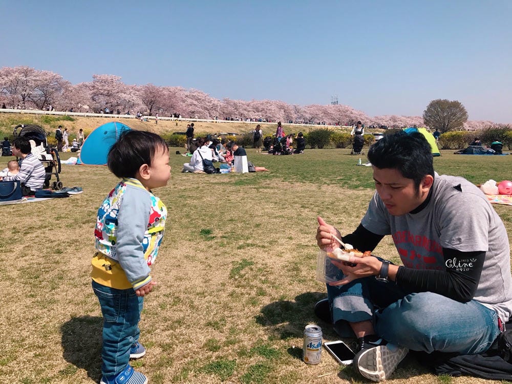 ▌東京近郊賞櫻▌驚為天人的花見【熊谷櫻堤】。櫻花與油菜花美到爆炸啊～