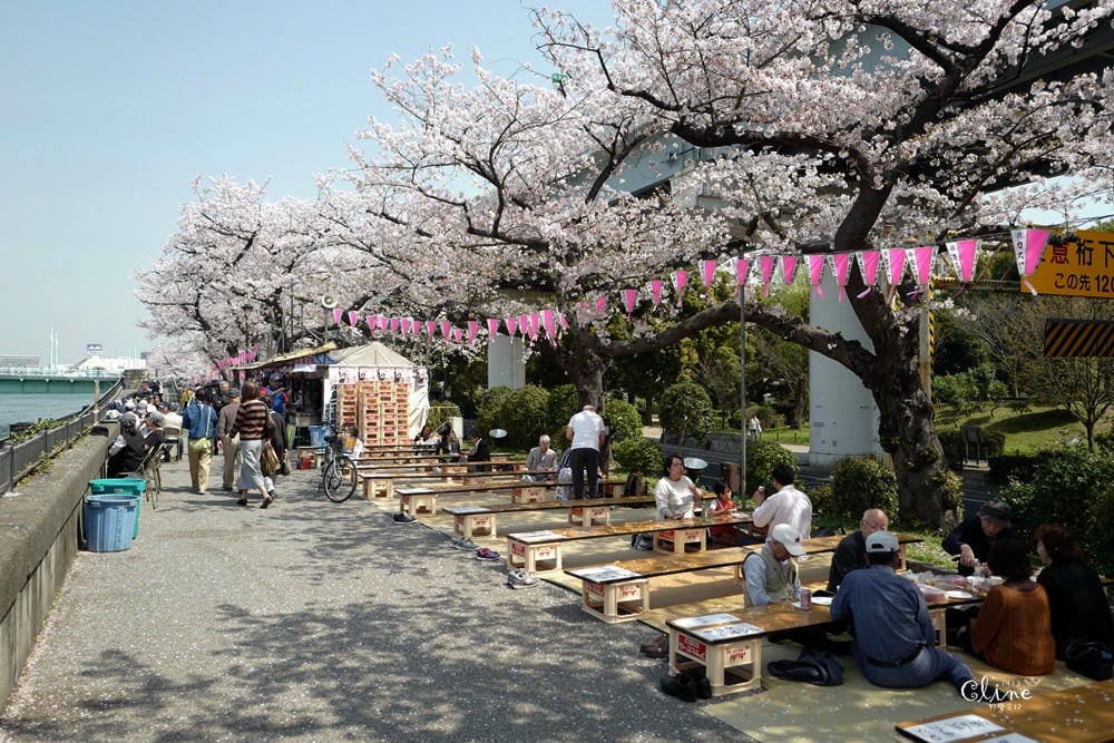 ▌東京賞櫻▌隅田公園櫻花河畔賞櫻。晴空塔就在眼前