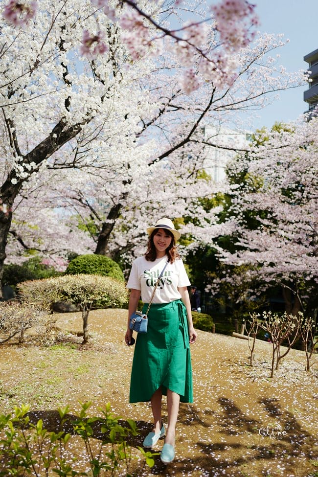 ▌東京賞櫻▌隅田公園櫻花河畔賞櫻。晴空塔就在眼前
