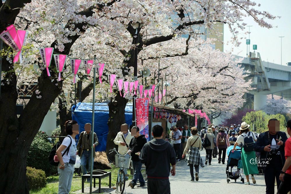 ▌東京賞櫻▌隅田公園櫻花河畔賞櫻。晴空塔就在眼前