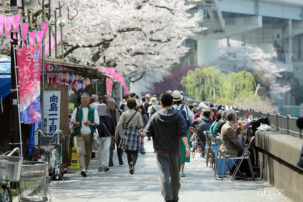▌東京賞櫻▌隅田公園櫻花河畔賞櫻。晴空塔就在眼前