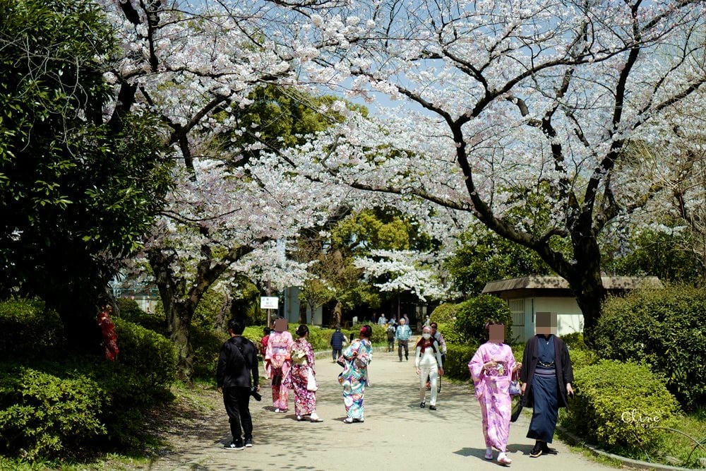 ▌東京賞櫻▌隅田公園櫻花河畔賞櫻。晴空塔就在眼前