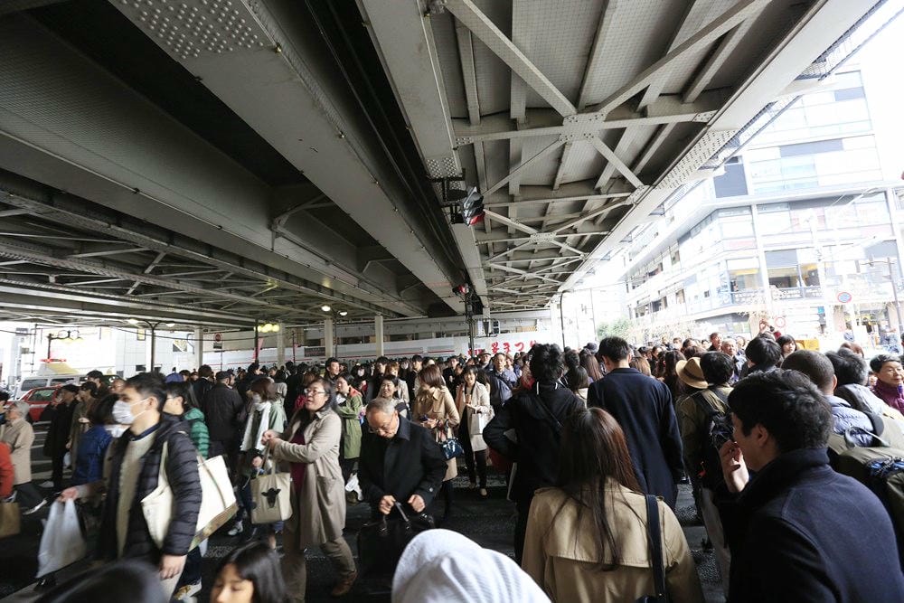 ▌東京賞櫻▌東京必去夢幻賞櫻景點【目黑川櫻花】夜櫻一樣很迷人(有影片分享)