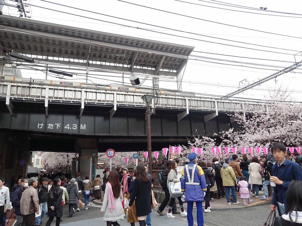 ▌東京賞櫻▌東京必去夢幻賞櫻景點【目黑川櫻花】夜櫻一樣很迷人(有影片分享)