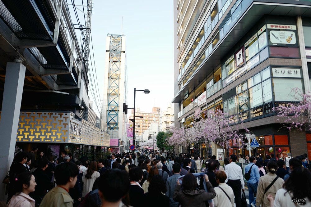 ▌東京賞櫻▌東京必去夢幻賞櫻景點【目黑川櫻花】夜櫻一樣很迷人(有影片分享)