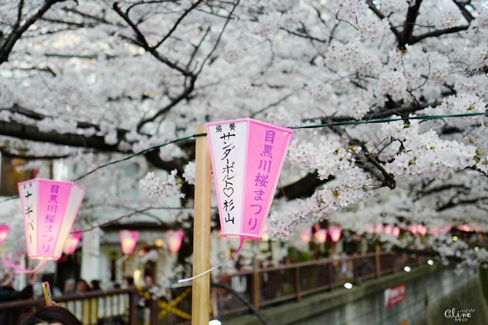 ▌東京賞櫻▌東京必去夢幻賞櫻景點【目黑川櫻花】夜櫻一樣很迷人(有影片分享)