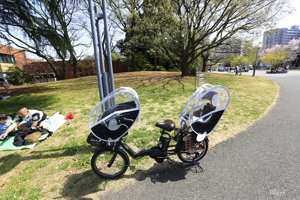 ▌東京近郊賞櫻▌東京超推親子景點【國營昭和紀念公園】超美櫻花林下野餐