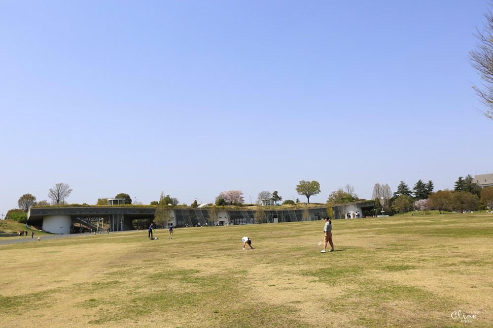 ▌東京近郊賞櫻▌東京超推親子景點【國營昭和紀念公園】超美櫻花林下野餐