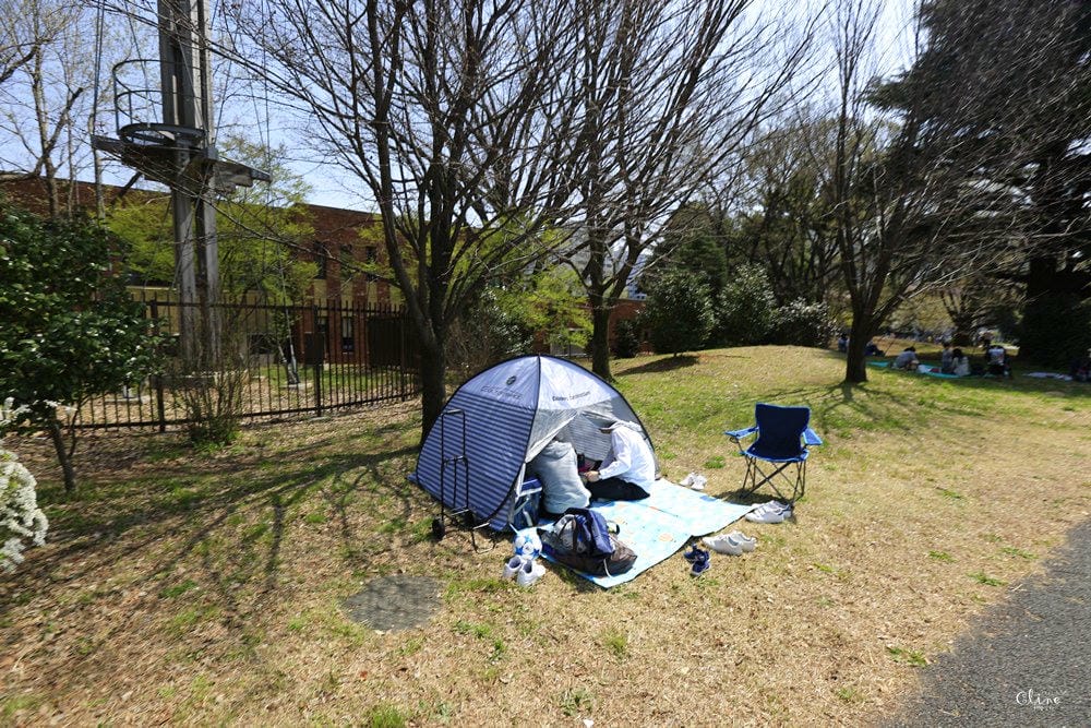 ▌東京近郊賞櫻▌東京超推親子景點【國營昭和紀念公園】超美櫻花林下野餐