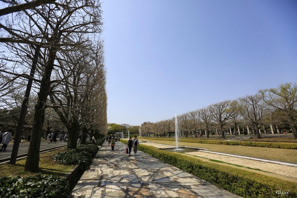 ▌東京近郊賞櫻▌東京超推親子景點【國營昭和紀念公園】超美櫻花林下野餐