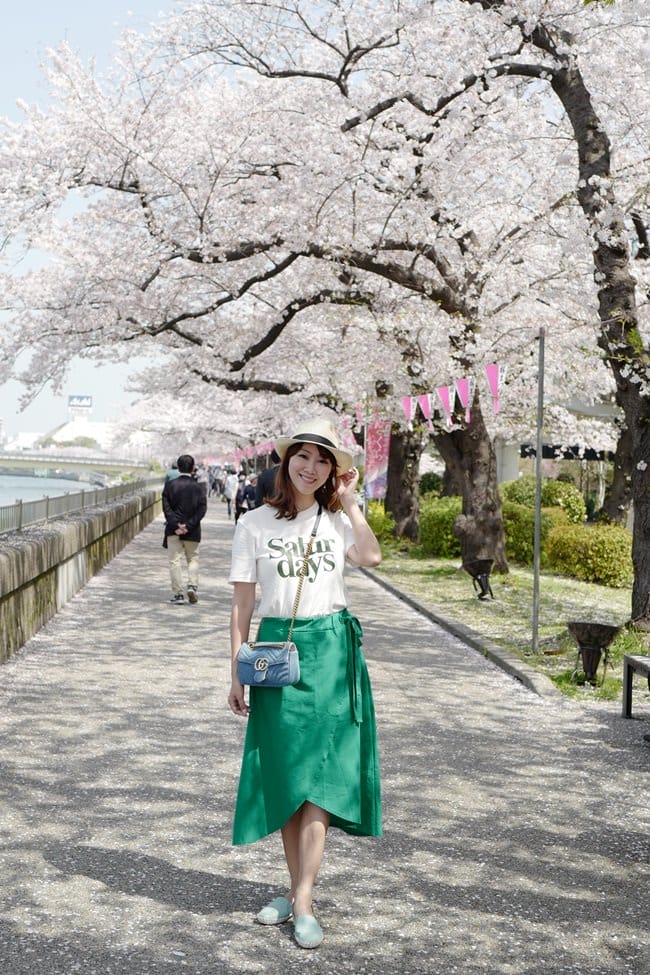 ▌東京賞櫻▌隅田公園櫻花河畔賞櫻。晴空塔就在眼前