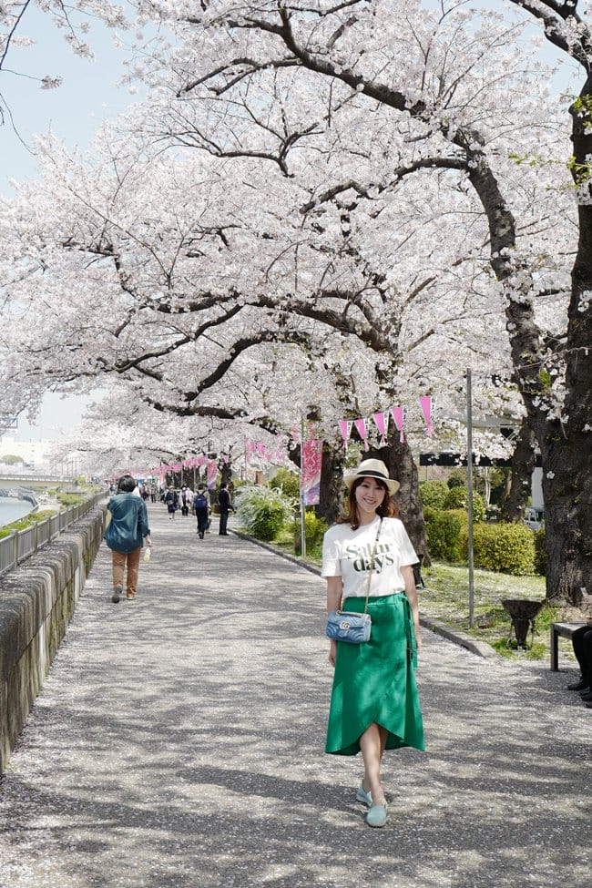 ▌東京賞櫻▌隅田公園櫻花河畔賞櫻。晴空塔就在眼前