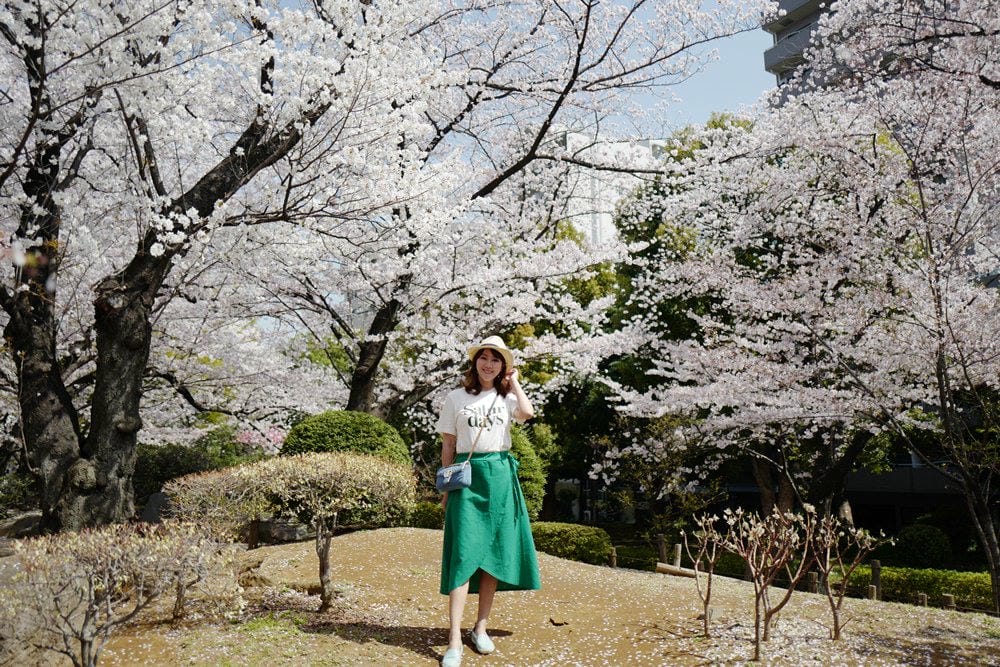 ▌東京賞櫻▌隅田公園櫻花河畔賞櫻。晴空塔就在眼前