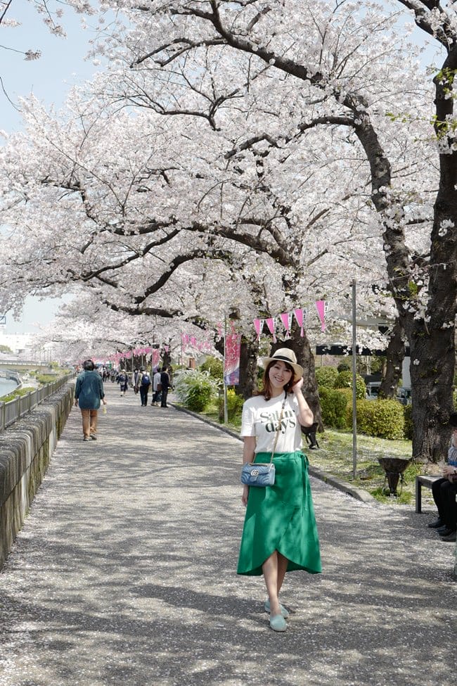 ▌東京賞櫻▌隅田公園櫻花河畔賞櫻。晴空塔就在眼前