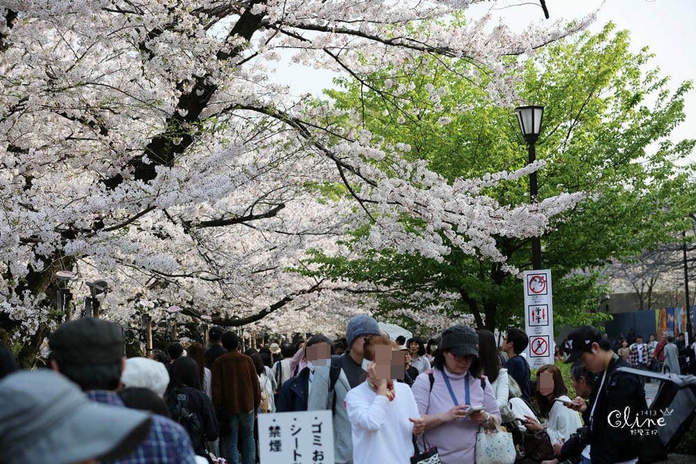 ▌東京賞櫻▌千鳥之淵。陽光哥最喜歡的東京都賞櫻景點之一～璀璨的夜櫻超級漂亮