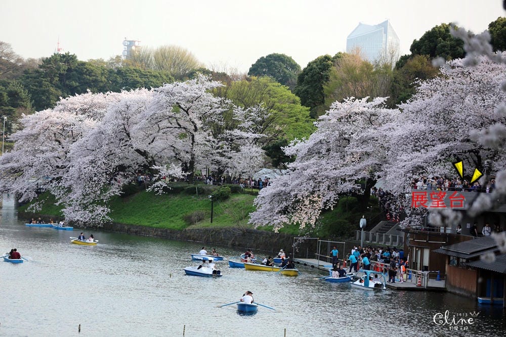 ▌東京賞櫻▌千鳥之淵。陽光哥最喜歡的東京都賞櫻景點之一～璀璨的夜櫻超級漂亮