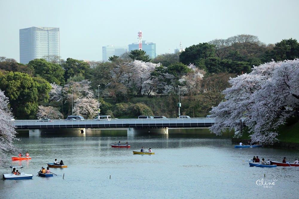 ▌東京賞櫻▌千鳥之淵。陽光哥最喜歡的東京都賞櫻景點之一～璀璨的夜櫻超級漂亮