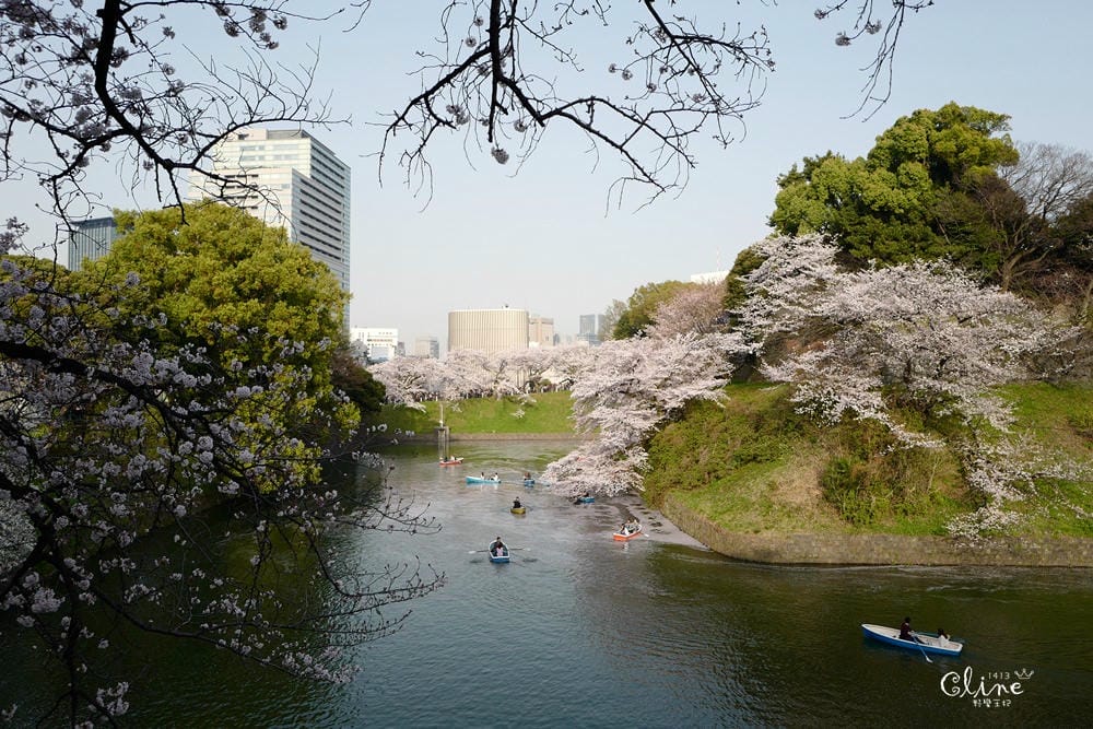 ▌東京賞櫻▌千鳥之淵。陽光哥最喜歡的東京都賞櫻景點之一～璀璨的夜櫻超級漂亮