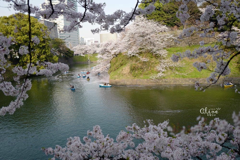 ▌東京賞櫻▌千鳥之淵。陽光哥最喜歡的東京都賞櫻景點之一～璀璨的夜櫻超級漂亮