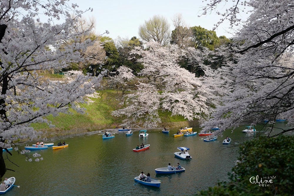 ▌東京賞櫻▌千鳥之淵。陽光哥最喜歡的東京都賞櫻景點之一～璀璨的夜櫻超級漂亮
