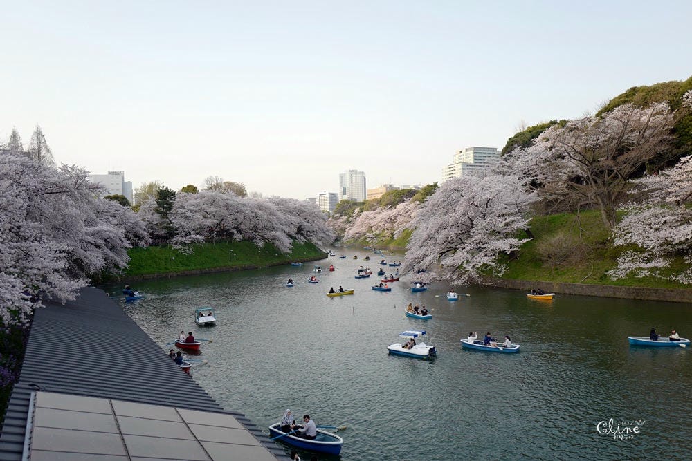 ▌東京賞櫻▌千鳥之淵。陽光哥最喜歡的東京都賞櫻景點之一～璀璨的夜櫻超級漂亮
