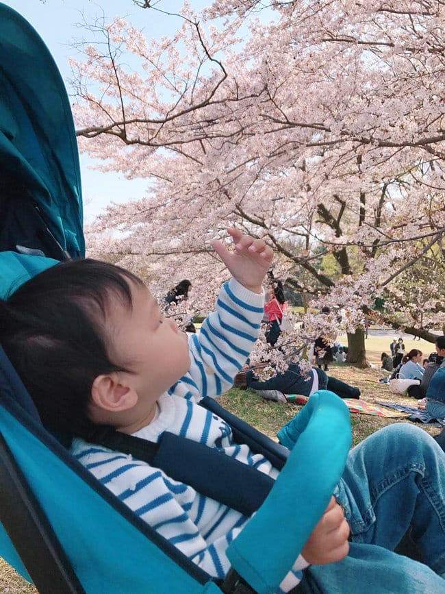 ▌東京近郊賞櫻▌東京超推親子景點【國營昭和紀念公園】超美櫻花林下野餐