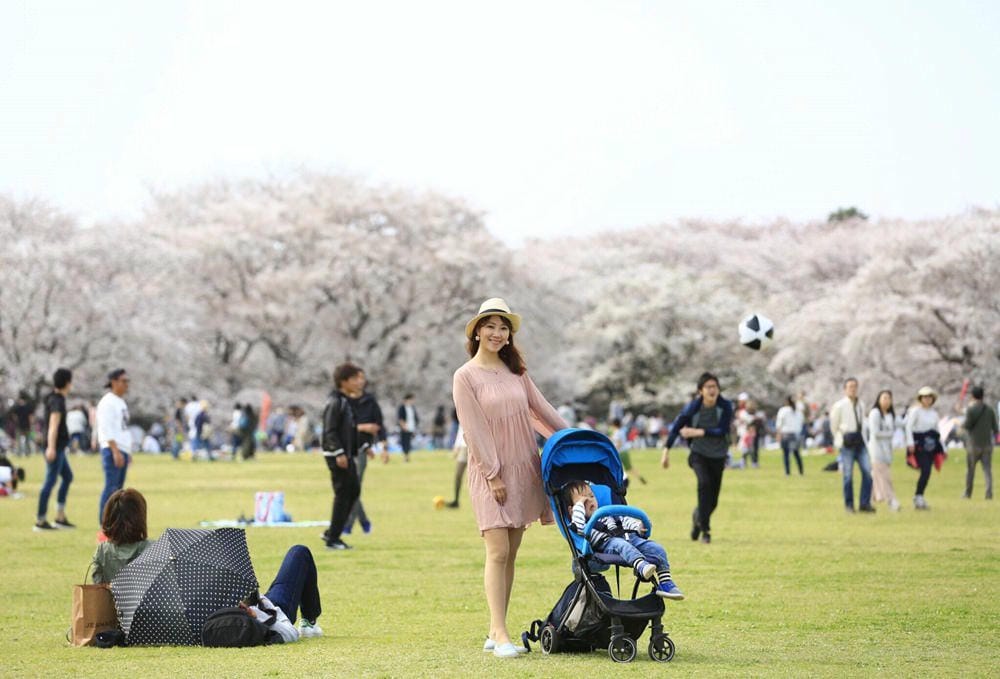 ▌東京近郊賞櫻▌東京超推親子景點【國營昭和紀念公園】超美櫻花林下野餐