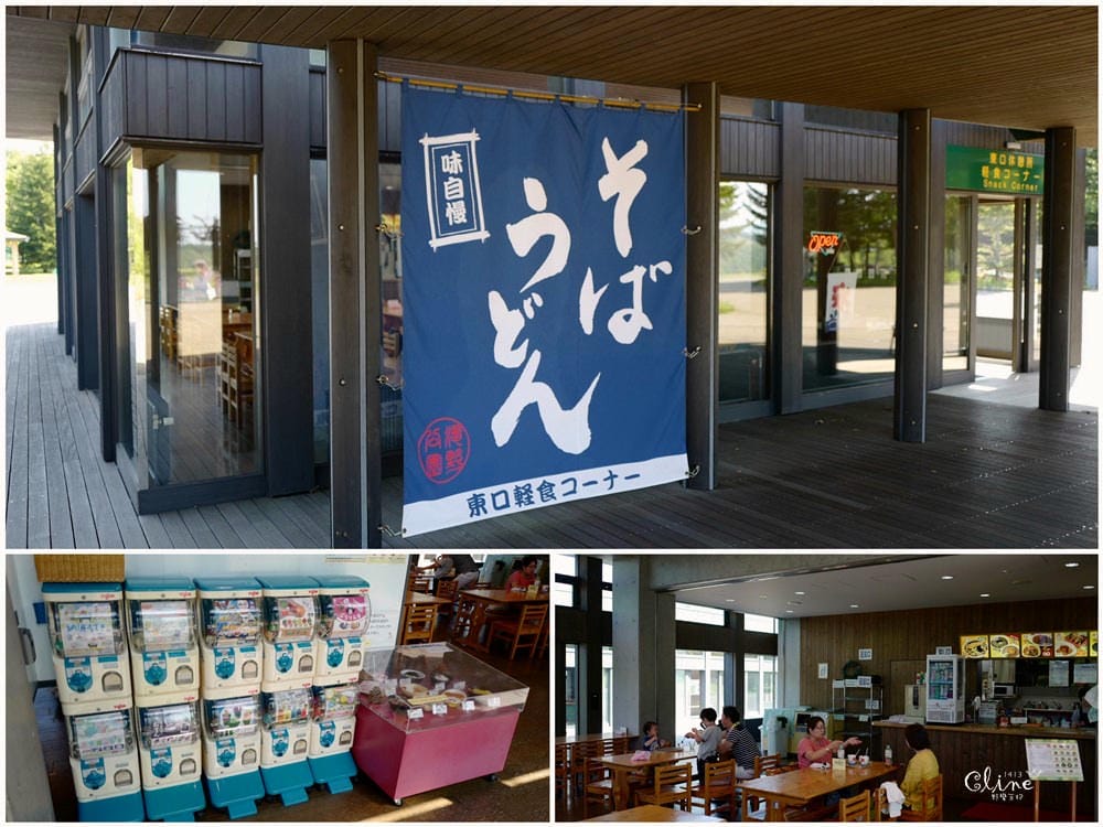 ▌北海道親子景點▌札幌近郊的親子景點❤️瀧野鈴蘭公園