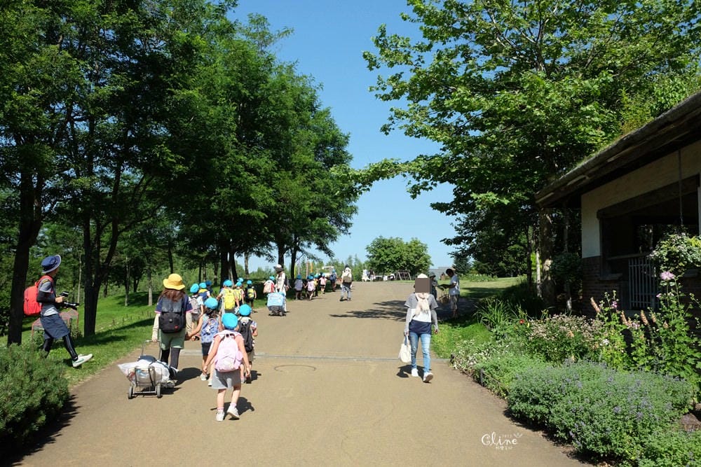 ▌北海道親子景點▌札幌近郊的親子景點❤️瀧野鈴蘭公園